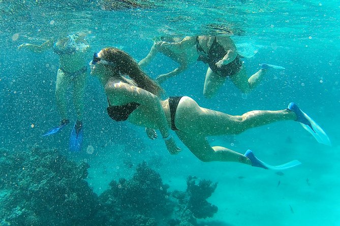 Full-Day Snorkeling with Dolphins in Hurghada with Lunch - The boat ride and first search for dolphins