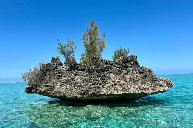 Fully Day Tour: Dolphin Encounters, Crystal Rock at Benitiers Island - Benitier Islet and the three-course BBQ