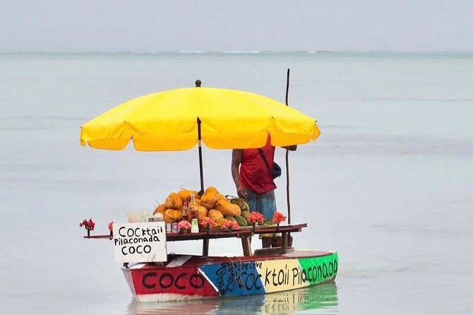 Fully Day Tour: Dolphin Encounters, Crystal Rock at Benitiers Island - What can go wrong on the day
