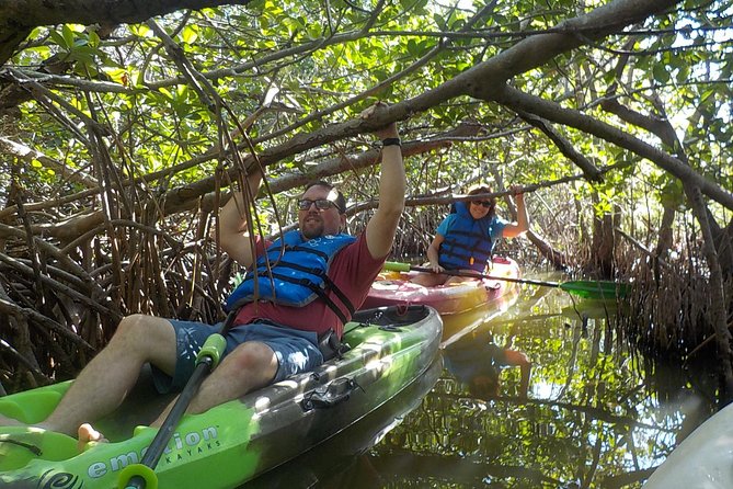 Fully Guided Kayaking Backwater Manatee and Dolphin Tour - Manatee and dolphin chances