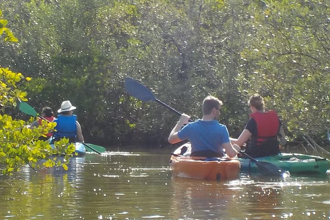 Fully Guided Kayaking Backwater Manatee and Dolphin Tour - Who will enjoy this kayak tour most?