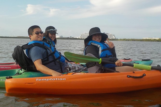 Fully Guided Kayaking Backwater Manatee and Dolphin Tour - Timing, weather, and what to bring