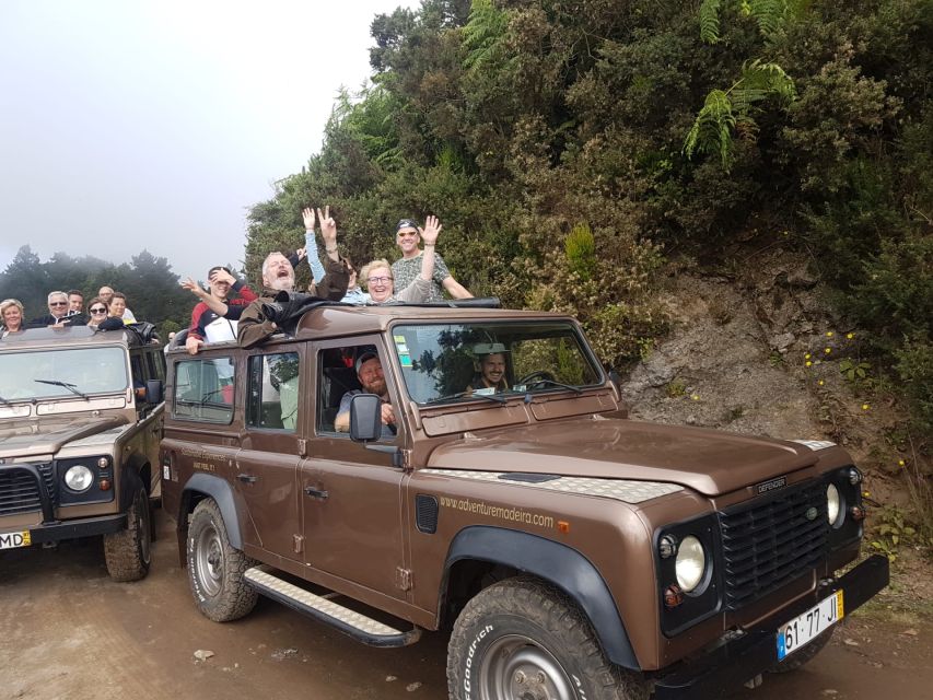 Funchal: Cabo Girão, Wines Tasting and Dolphins Watching - Three hours on the south coast