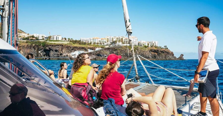 Funchal: Dolphin and Whale Watching by Luxury Catamaran - Five things to know before boarding