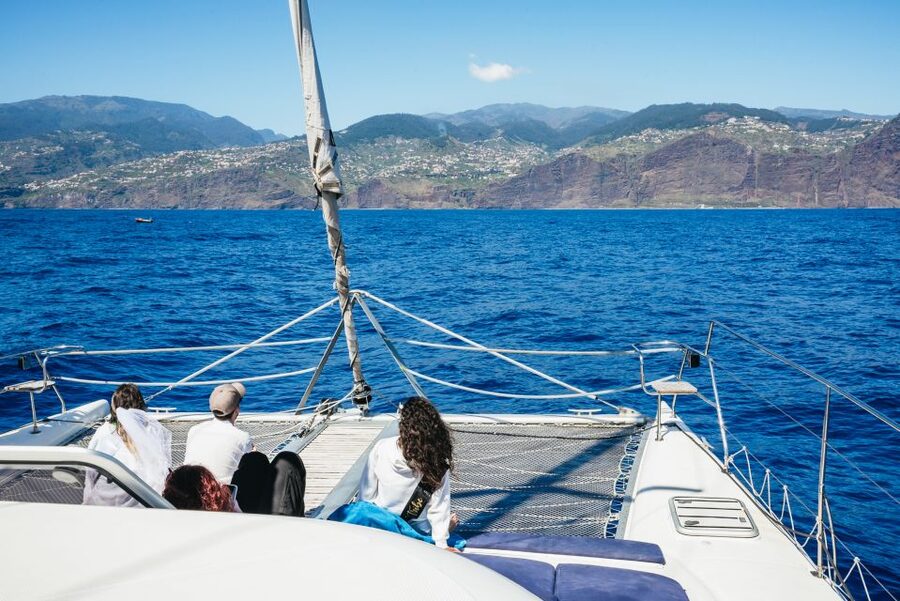 Funchal: Dolphin and Whale Watching by Luxury Catamaran - Booking flexibility and practical timing