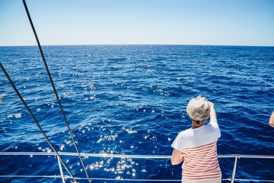 Funchal: Dolphin and Whale Watching by Luxury Catamaran - Leaving Funchal Marina from Pier 8