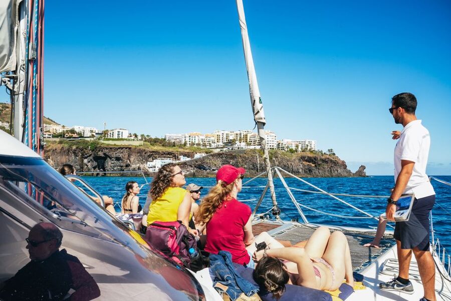 Funchal: Dolphin and Whale Watching by Luxury Catamaran - What the $47 price gets you