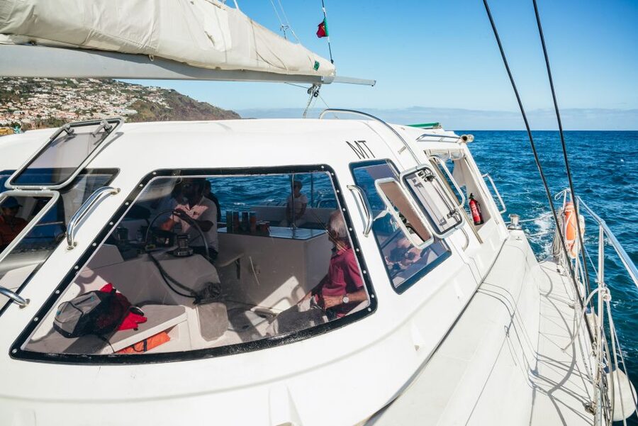 Funchal: Dolphin and Whale Watching by Luxury Catamaran - Watching Funchal fade behind you