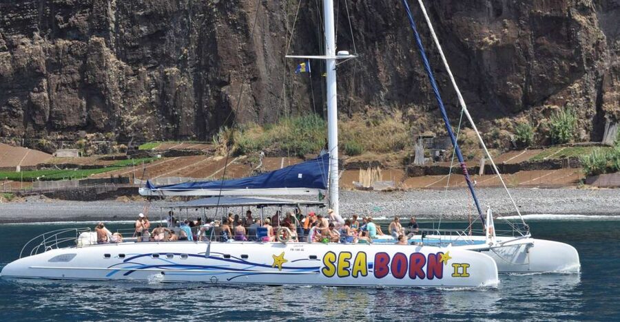 Funchal: Dolphin and Whale Watching Catamaran Cruise - Practical tips for a better day at sea