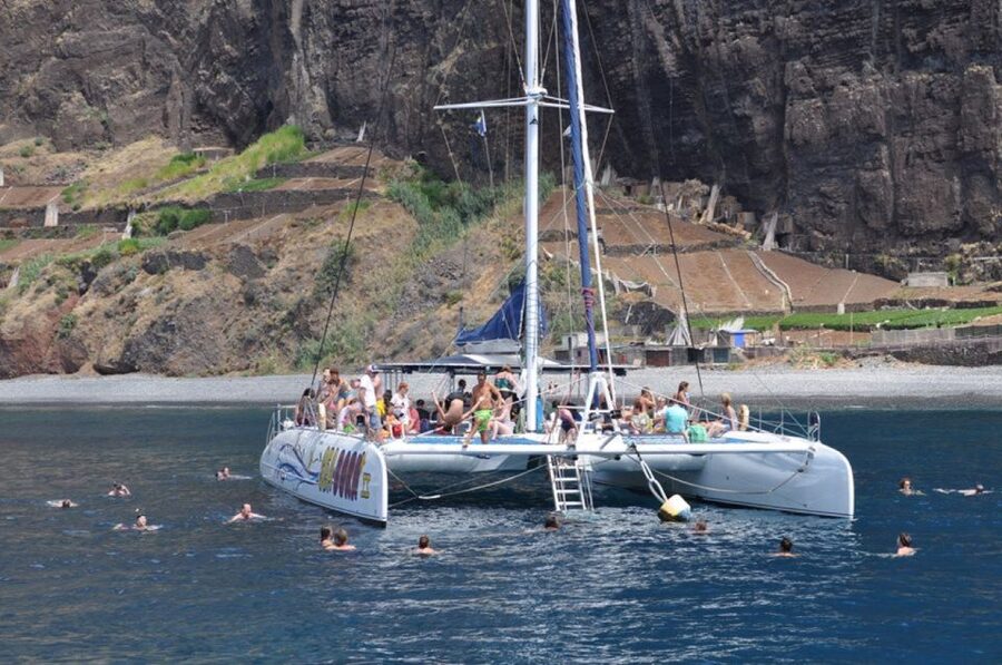 Funchal: Dolphin and Whale Watching Catamaran Cruise - Choosing the best place to sit