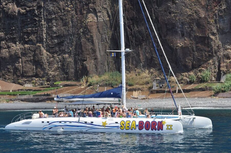 Funchal: Dolphin and Whale Watching Catamaran Cruise - Who should book this Madeira cruise?