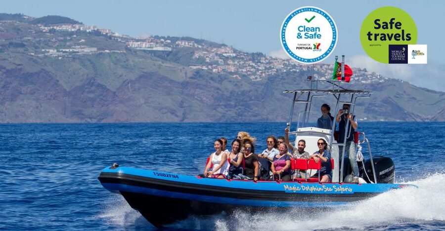 Funchal: Dolphin and Whale Watching Cruise - Five things to know before boarding
