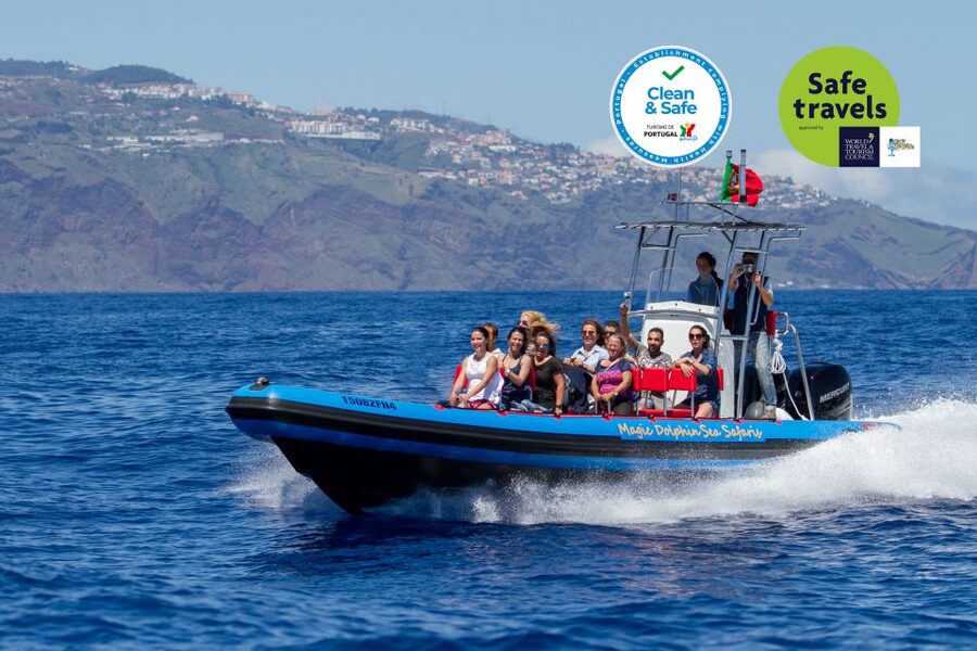 Funchal: Dolphin and Whale Watching Cruise - A speedboat built to search farther