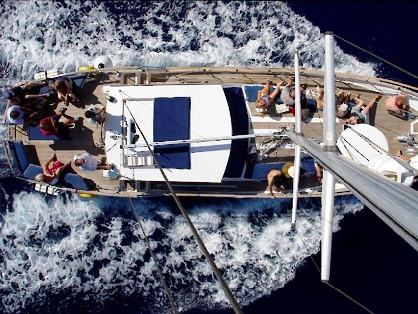 Funchal: Dolphin and Whale Watching Sailing Trip - Should you book the Funchal dolphin and whale trip?