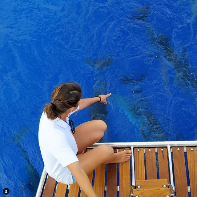 Funchal: Dolphin and Whale Watching Sailing Trip - Cabo Girão from sea level