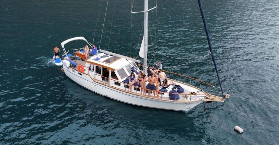 Funchal: Dolphin and Whale Watching Sailing Trip - Watching for dolphins and whales up to three miles offshore