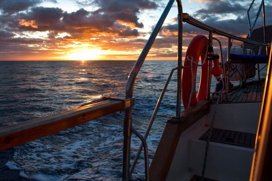 Funchal: Dolphin and Whale Watching Sunset Sailing Tour - Key points to know before you book