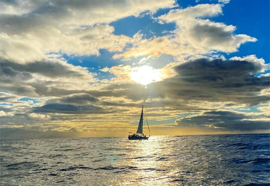 Funchal: Dolphin and Whale Watching Sunset Sailing Tour - Drinks, fresh air, and the slow part of the evening