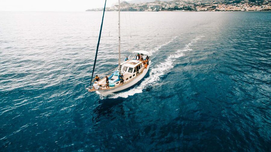 Funchal: Dolphin and Whale Watching Sunset Sailing Tour - Watching the sun drop behind Madeira
