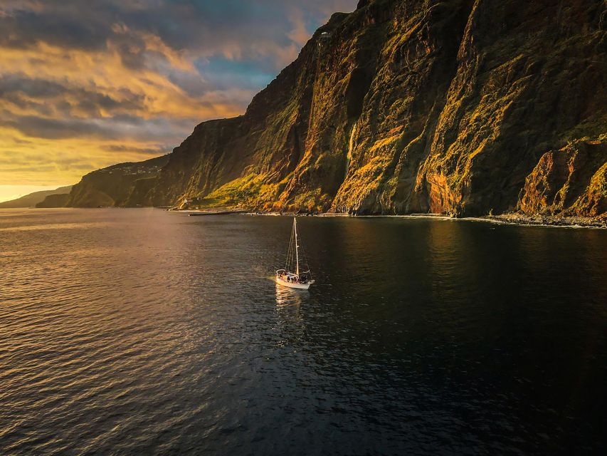Funchal: Dolphin and Whale Watching Sunset Sailing Tour - Who will enjoy this Funchal sailing trip?