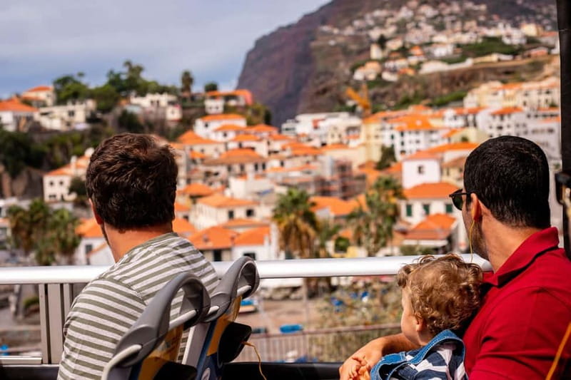 Funchal:Hop-on Hop-off Bus & Whale & Dolphin boat Excursion - Key points to know before you book