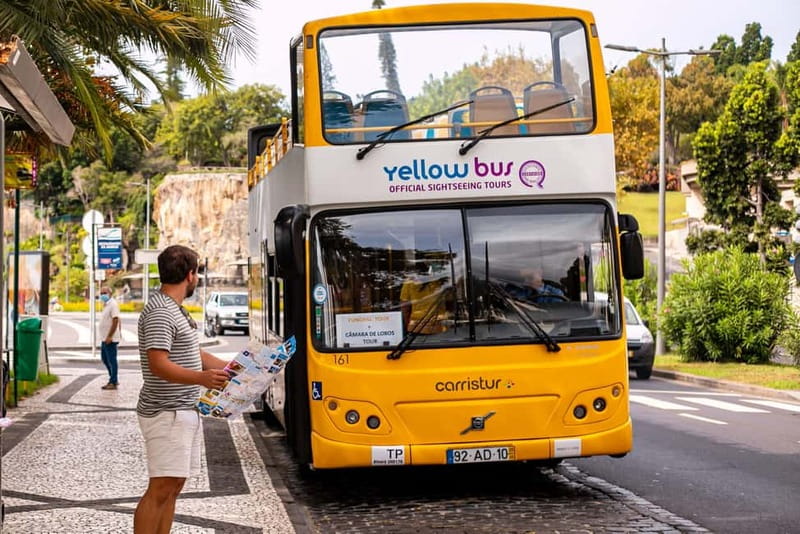 Funchal:Hop-on Hop-off Bus & Whale & Dolphin boat Excursion - Why this Funchal combination works