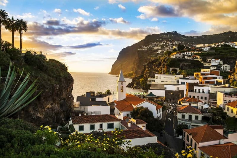 Funchal:Hop-on Hop-off Bus & Whale & Dolphin boat Excursion - Is $54 good value?