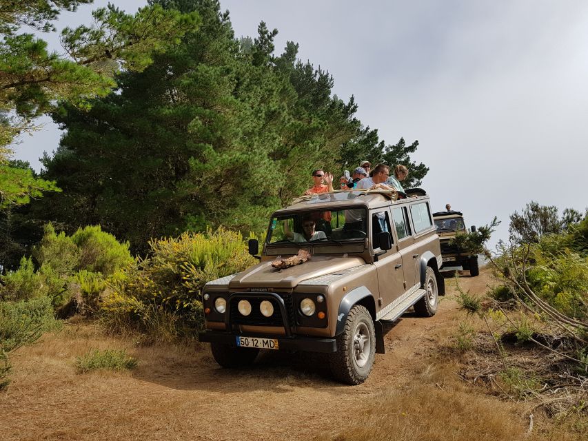 Funchal: Pico Arieiro, Cristo Rei and Dolphins Watching - Key points to know before booking
