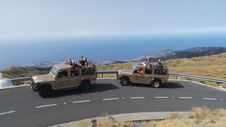 Funchal: Pico Arieiro, Cristo Rei and Dolphins Watching - Three hours at sea in search of dolphins and whales