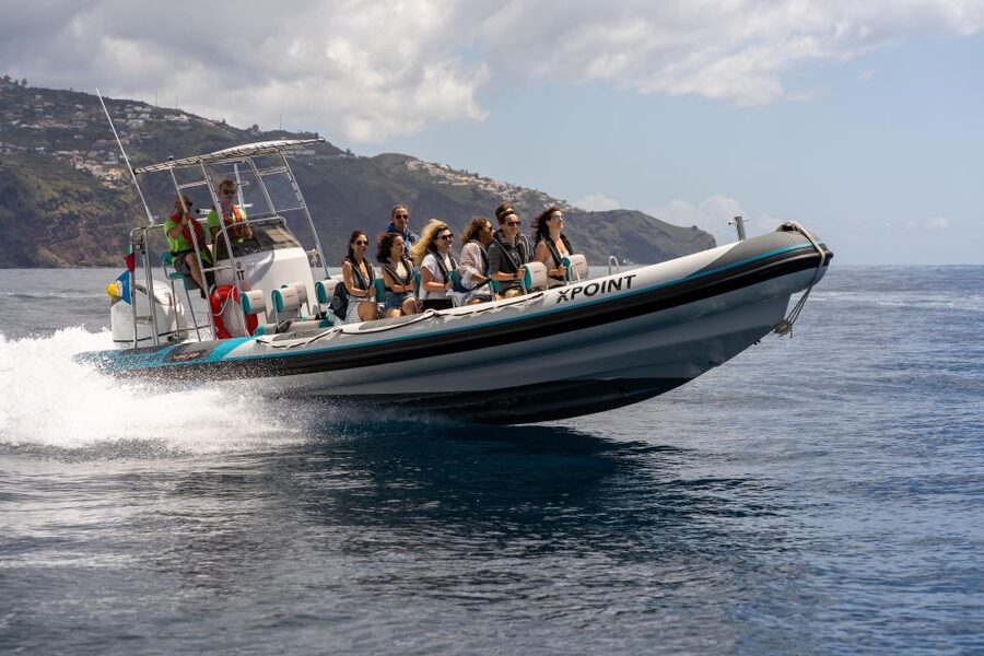 Funchal: RIB Whale Watching Cruise and Optional Dolphin Swim - Leaving Funchal on a small, fast boat