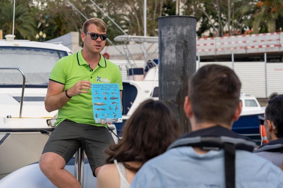 Funchal: RIB Whale Watching Cruise and Optional Dolphin Swim - Is $61 a fair price for 2.5 hours?