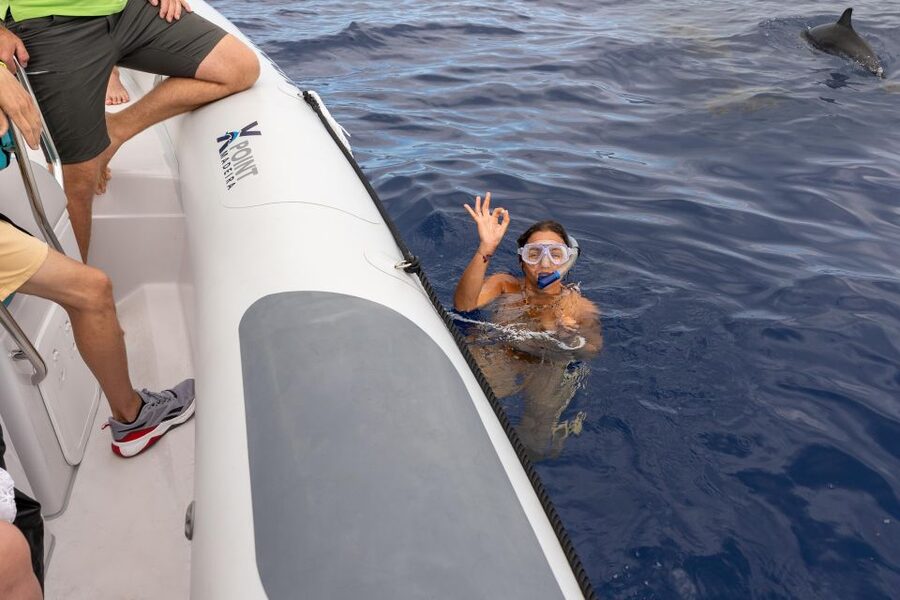 Funchal: RIB Whale Watching Cruise and Optional Dolphin Swim - How the wildlife search works