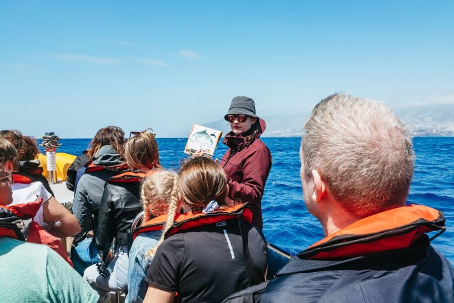 Funchal: Whale and Dolphin Watching Speed Boat Tour - Searching the Atlantic with Lookouts on Land