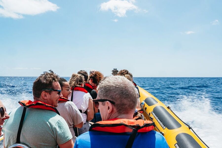 Funchal: Whale and Dolphin Watching Speed Boat Tour - Madeira’s Coast from the Water