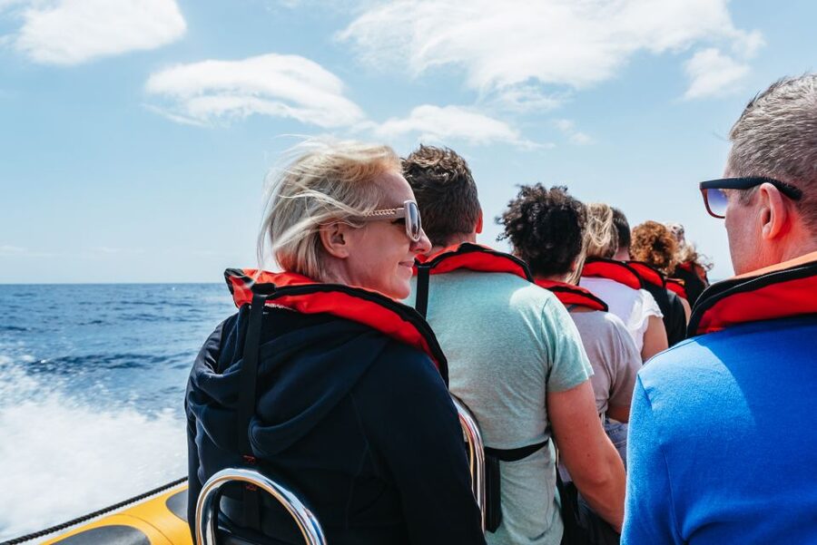 Funchal: Whale and Dolphin Watching Speed Boat Tour - What the 2.5-Hour Itinerary Feels Like