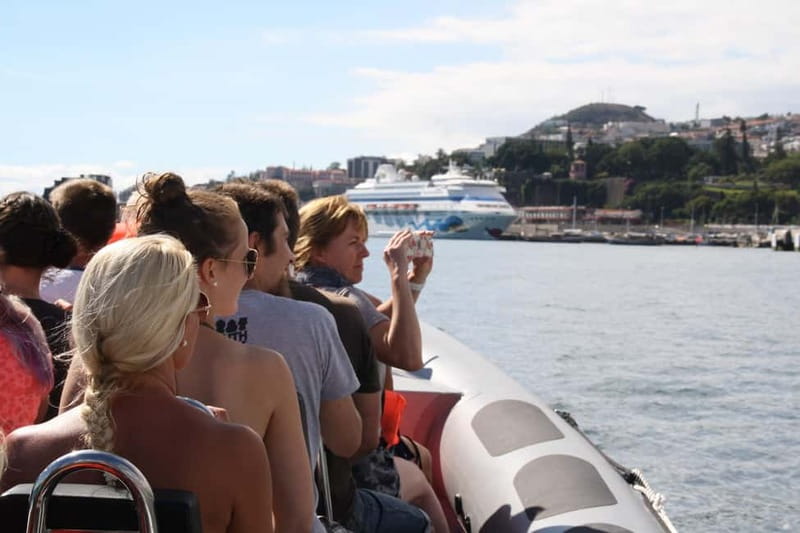 Funchal: Whale Watching and Swimming with Dolphins Cruise - Setting out from Rota dos Cetáceos in Funchal
