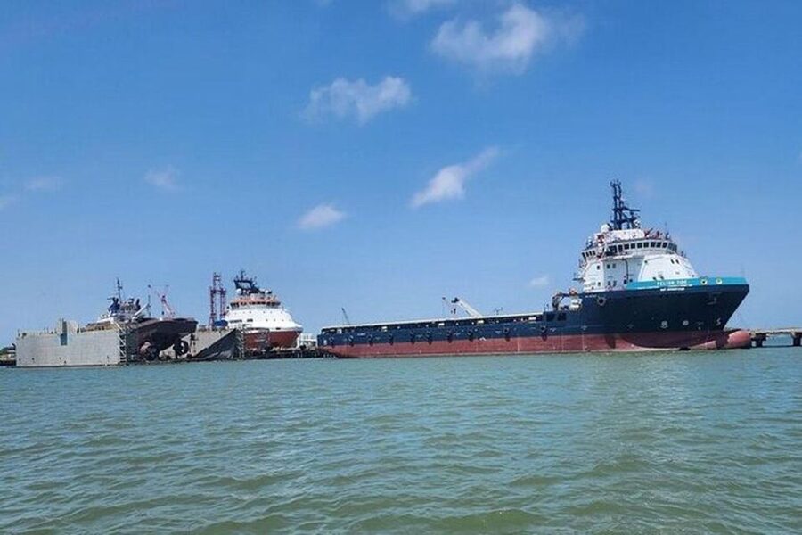 Galveston: Dolphin Watching Boat Tour in Galveston Bay - How to get the best experience