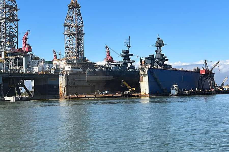 Galveston: Dolphin-Watching Cruise - How much does the $25 cruise deliver?