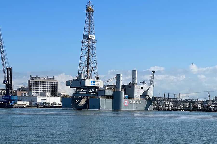 Galveston: Dolphin-Watching Cruise - Timing, comfort, and what to bring