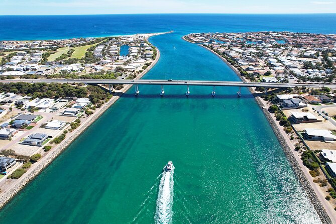 Giant and Dolphin Sightseeing Cruise in Mandurah - Fish and chips, timing, and overall value