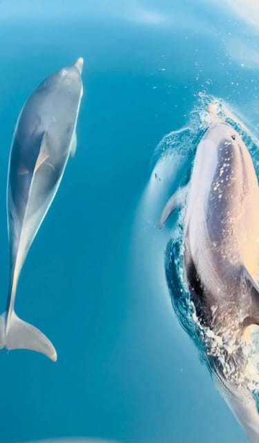 Giardini Naxos: Dolphin Searching Sunset Boat Tour - The Blue Grotto and Taormina’s filming locations