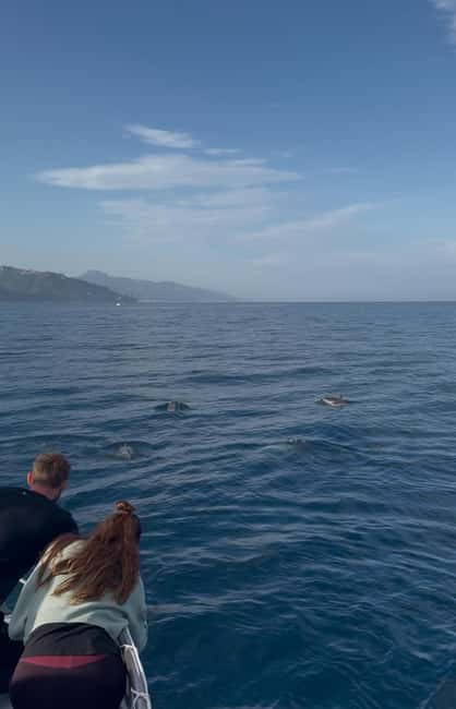Giardini Naxos: Dolphin Searching Sunset Boat Tour - Isola Bella, swimming, and the bathroom stop