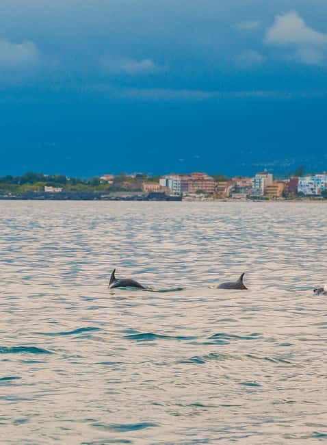 Giardini Naxos Taormina: Dolphin Watching Sunset Tour - Setting out from Giardini Naxos