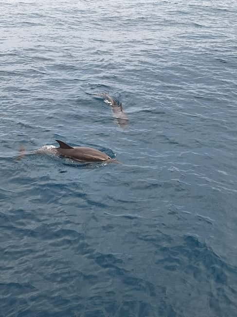 Giardini Naxos Taormina: Dolphin Watching Sunset Tour - The Love Cave, Blue Cave, and Taormina coast
