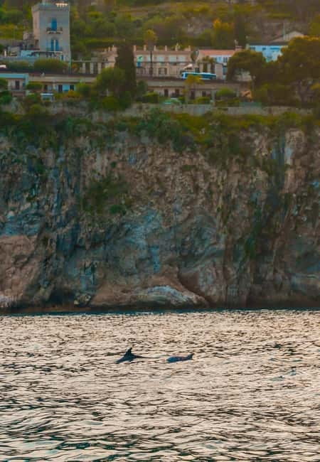 Giardini Naxos Taormina: Dolphin Watching Sunset Tour - Is $59 good value?