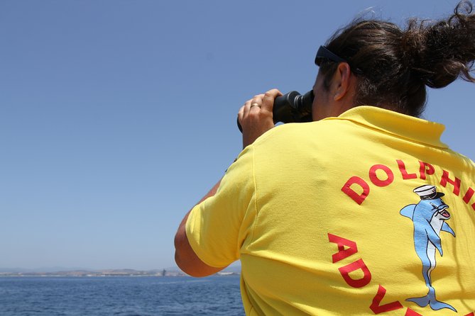 Gibraltar Dolphin Adventure - What the dolphin encounter can be like
