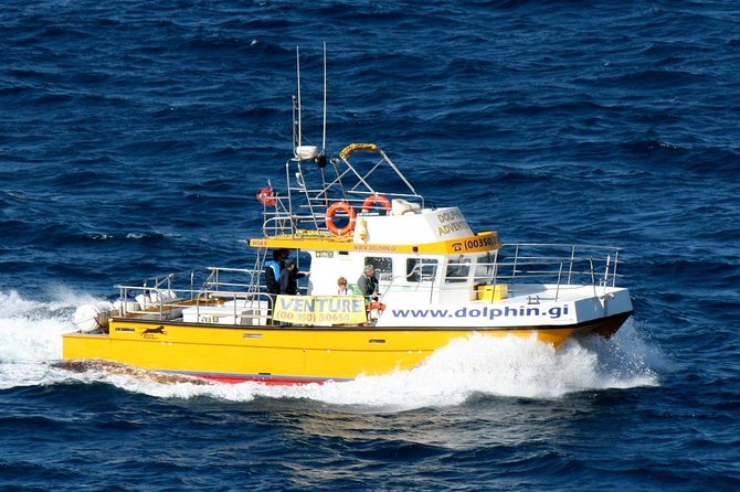 Gibraltar Dolphin Adventure - Weather, cancellation, and practical planning