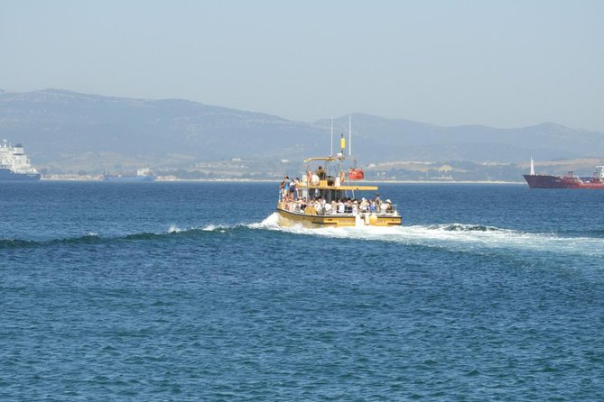 Gibraltar Dolphin Adventure - Should you book the Gibraltar Dolphin Adventure?