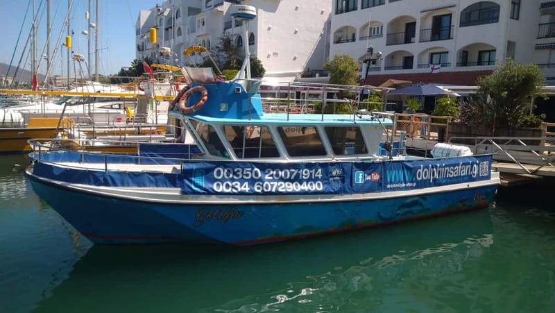 Gibraltar: Dolphin Watching Boat Tour - Crossing the bay toward the pods