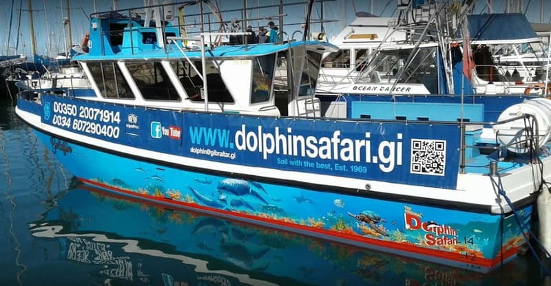 Gibraltar: Dolphin Watching Boat Tour - A boat built for close wildlife watching
